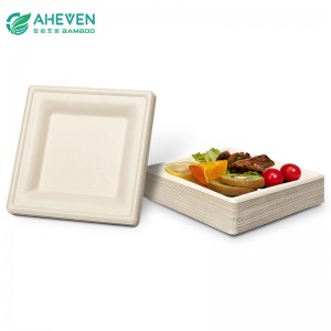 Bulk Packing Sugarcane Bagasse Disposable Square Plates in 7 inch