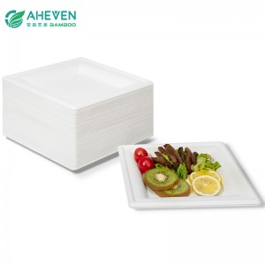 Wholesale Environment Friendly Disposable Bagasse Square Plates in 9 inch