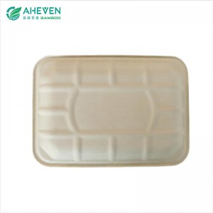 Market Biodegradable Natural Disposable Sugarcane Bagasse Food Tray