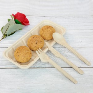 Wholesale Cheap Price Disposable Sugarcane Bagasse Tray for Supermarket Use