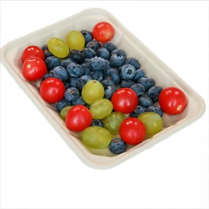 Market Biodegradable Natural Disposable Sugarcane Bagasse Food Tray