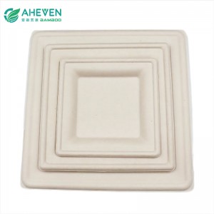 Bulk Packing Sugarcane Bagasse Disposable Square Plates in 7 inch