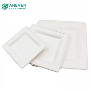 Wholesale Environment Friendly Disposable Bagasse Square Plates in 9 inch