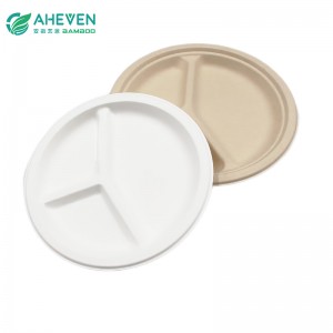 China Manufacture Eco 3 Compartment Bagasse Plate In 9 Inch