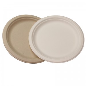 Wholesale 9 inch Biodegradable Disposable Plates For Hot Food Use