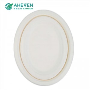 Big Size 12 inch Oval Shape Sugarcane Bagasse Disposable Plates