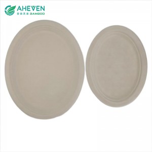 Oval Shape Sugarcane Bagasse Disposable Square Plates in 10 inch